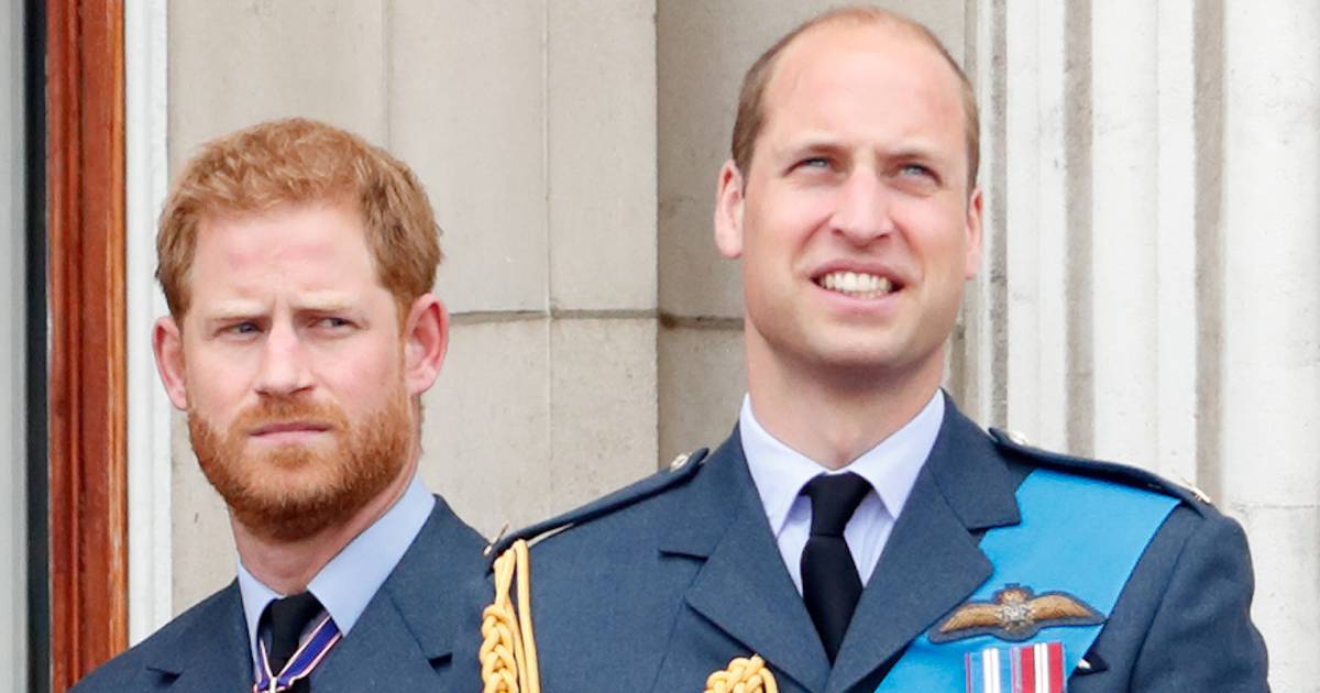 Prince William Makes Rare Comment About Prince Harry Amid Rift