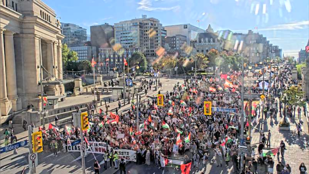 Pro-Palestinian march held in Ottawa amid global day of protests