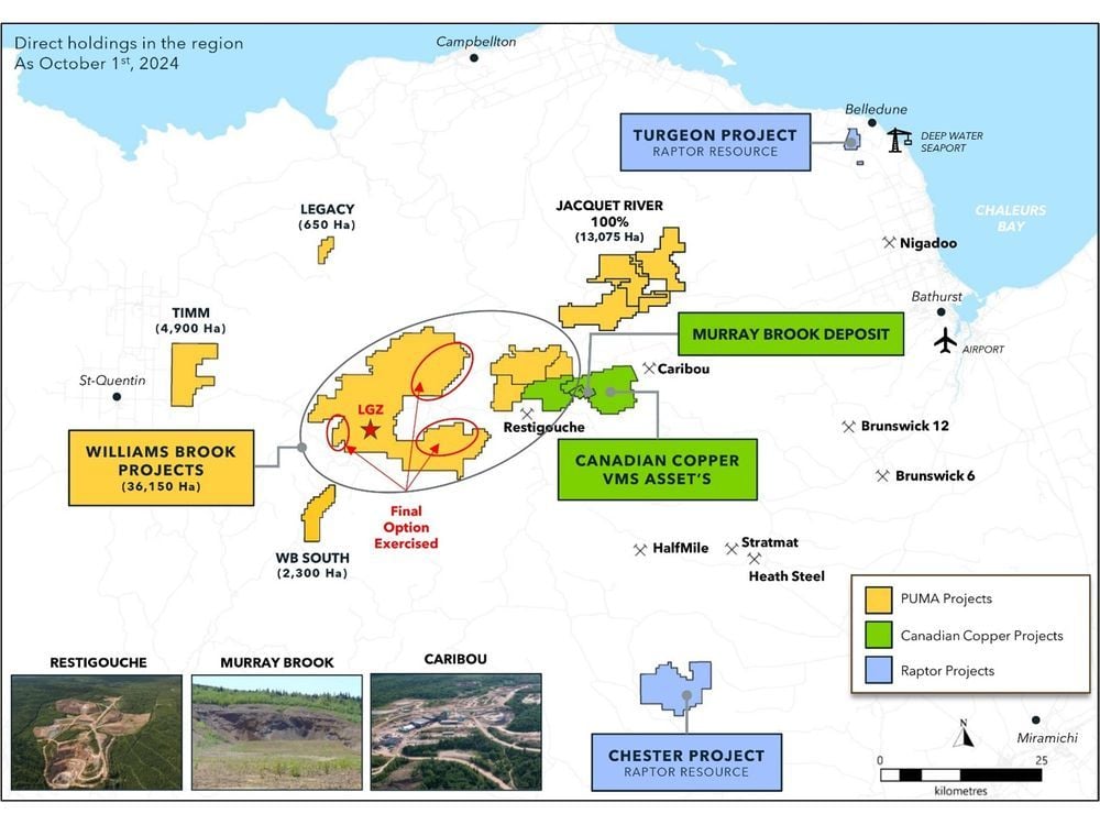 Puma Exploration Accelerates Acquisition of Claims at Williams Brook