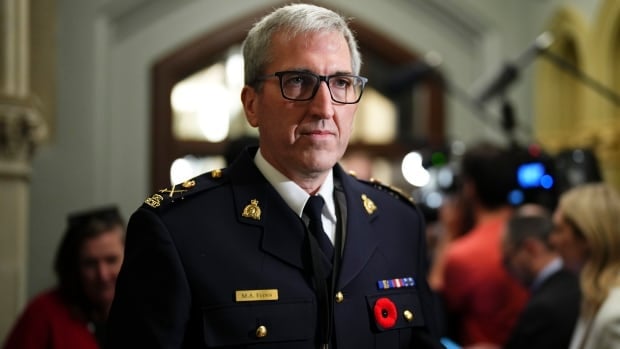 RCMP official won't say whether Chinese 'police stations' are still operating in Canada