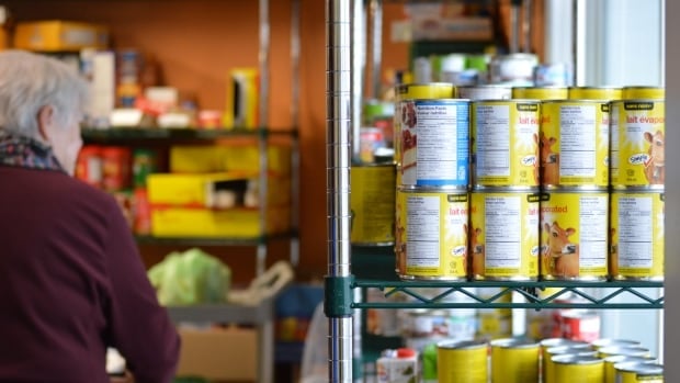 Record-breaking national food bank numbers reflect the crisis in Manitoba: Harvest CEO