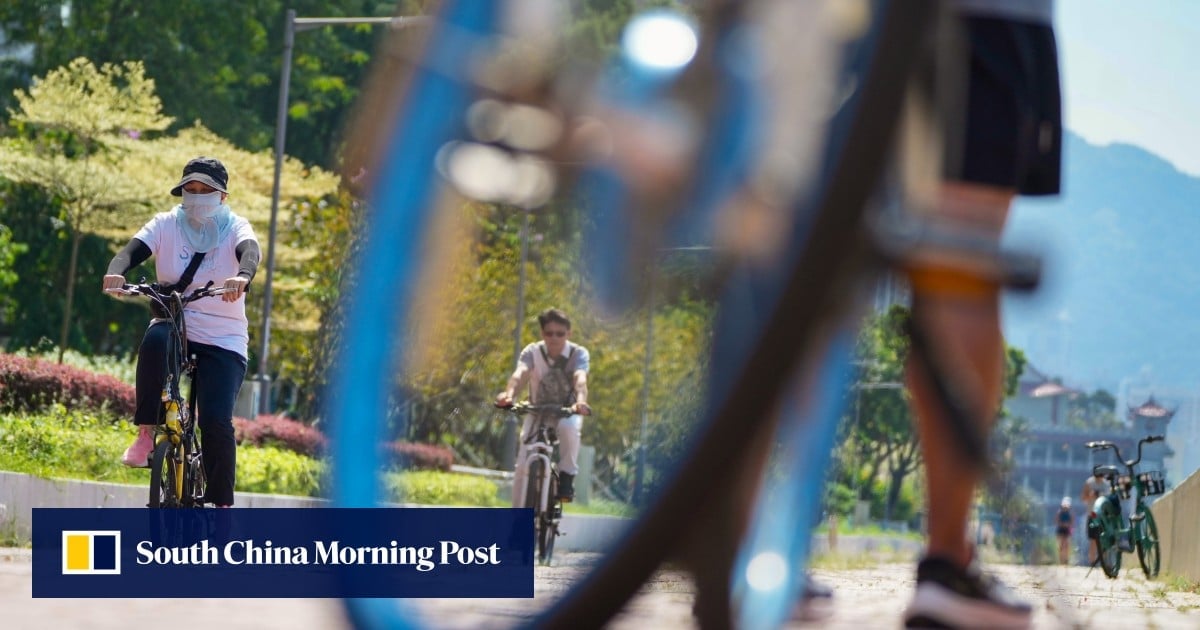 Renewed push to make cycling helmets mandatory in Hong Kong as number of deaths doubles