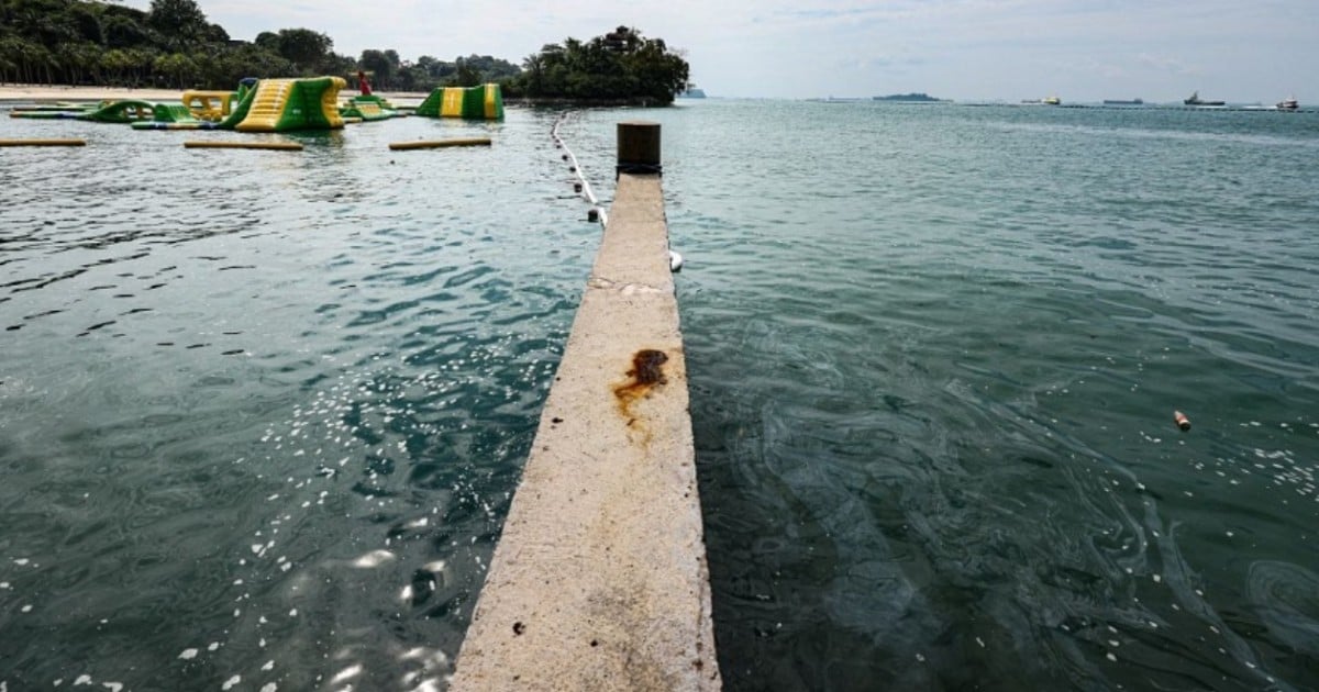 Shell's oil leak: Avoid swimming near beaches of East Coast Park, Kusu Island, St John's Island and Lazarus Island