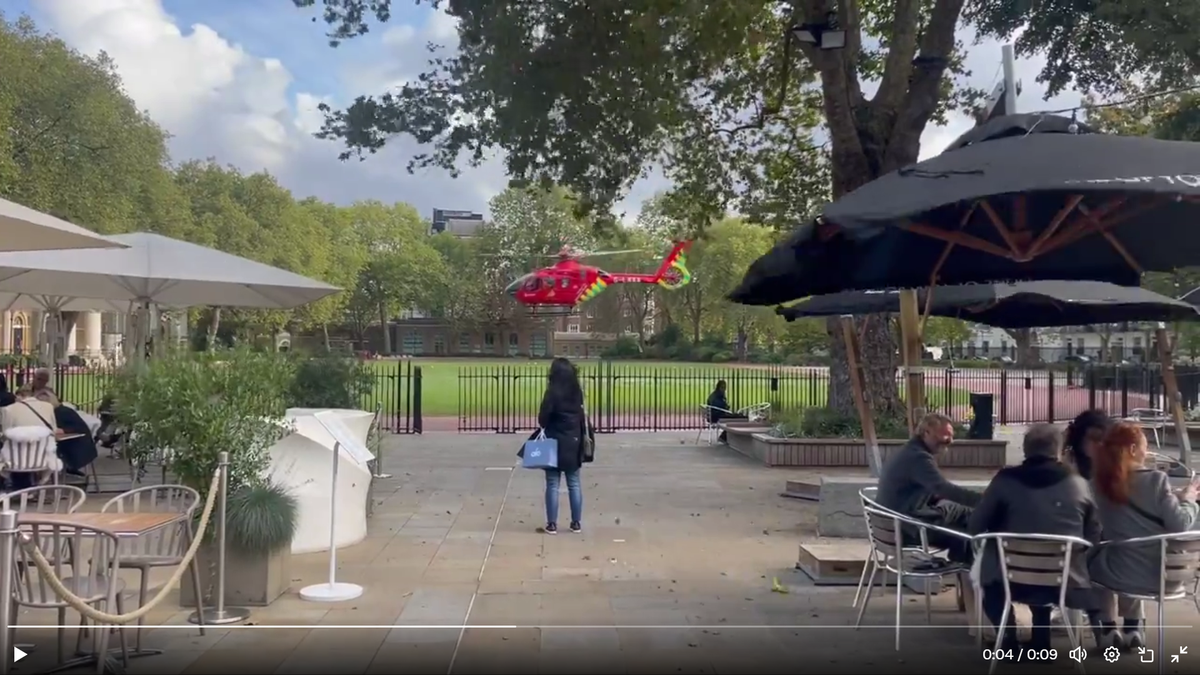 Sloane Square stabbing: Teenage boy rushed to hospital after attack near London Tube station