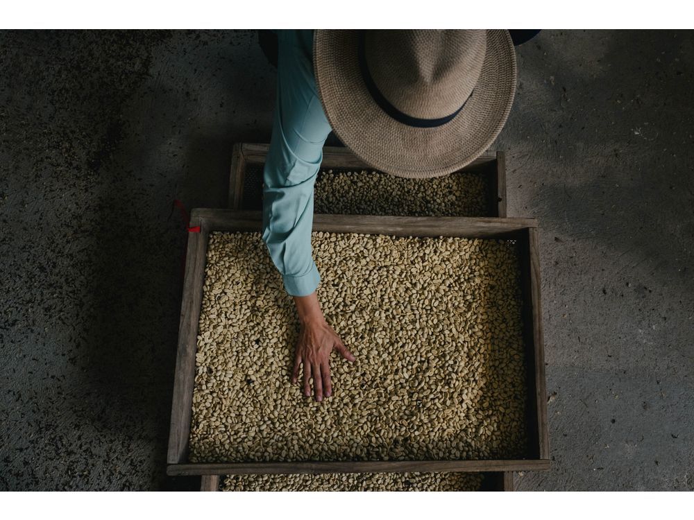 Starbucks Expands Global Effort to Protect Future of Coffee with Two New Coffee Farms