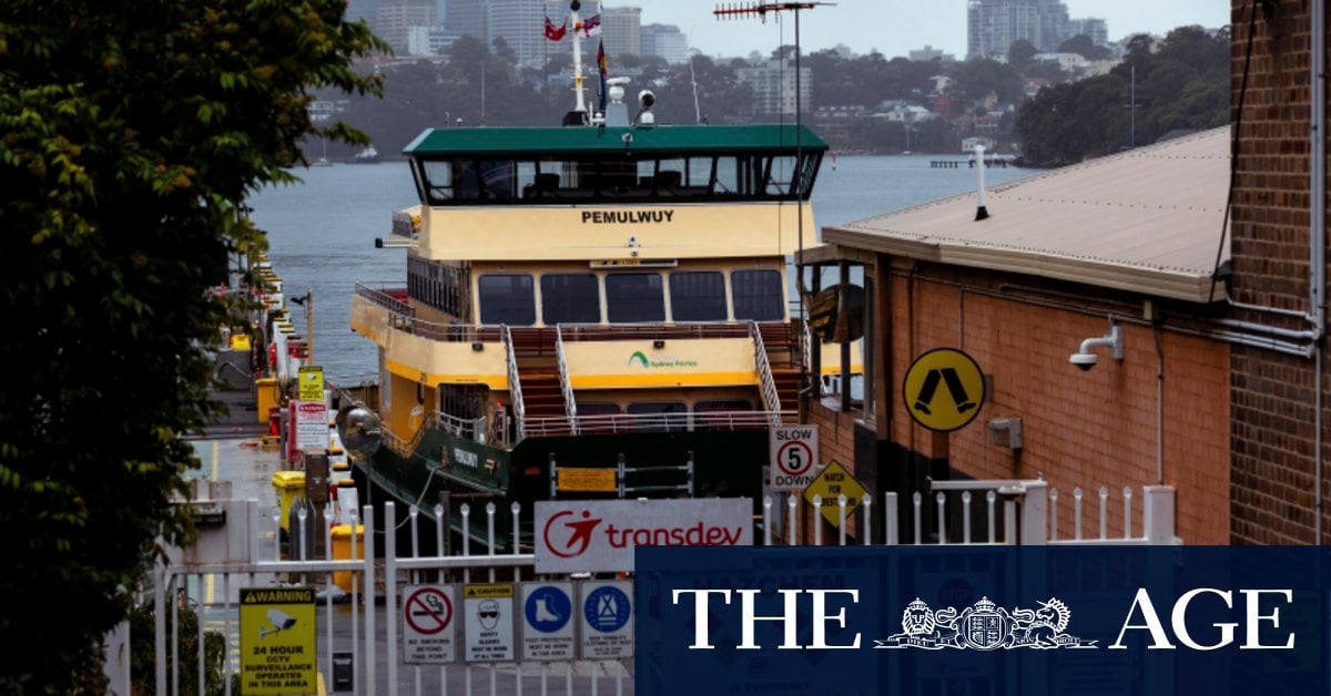 Sydney ferry veers off course near Shark Island