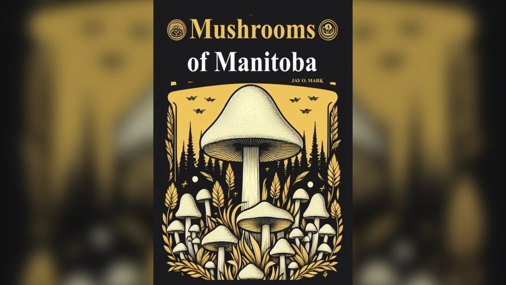 'The risk is real': Book on Manitoba mushrooms suspected to be written by AI