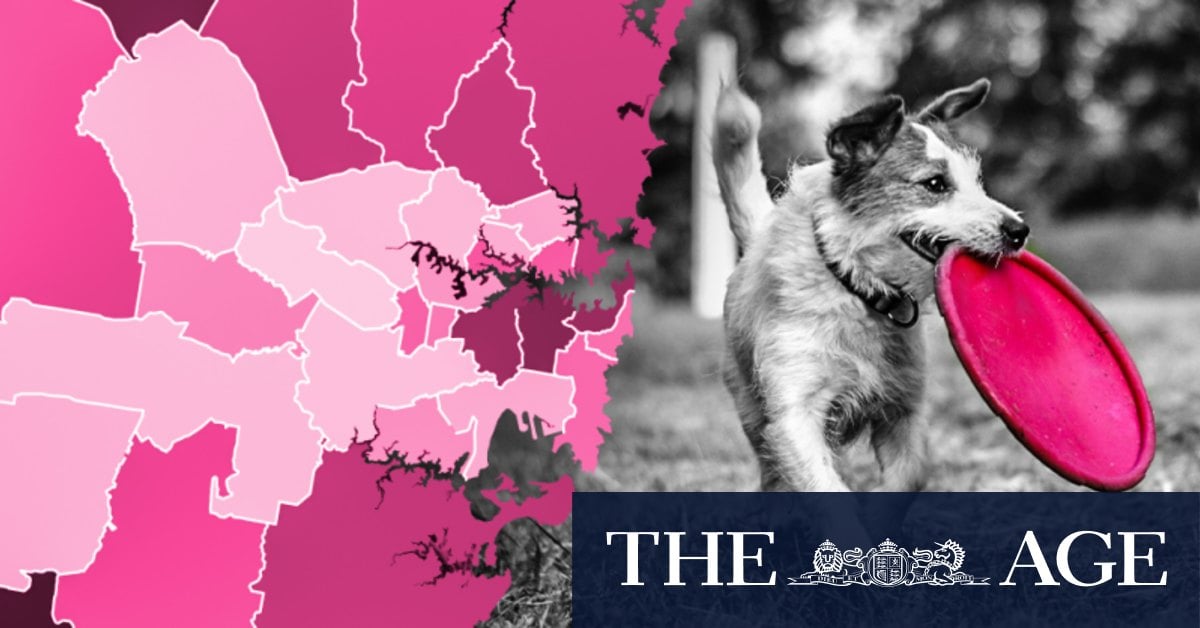 The Sydney suburbs where dogs outnumber children