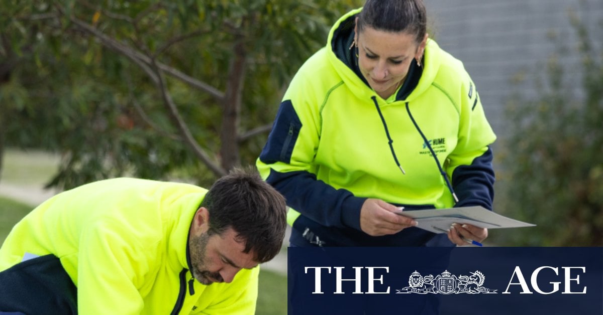 The three types of illegal rubbish dumpers, and the squad trying to catch them