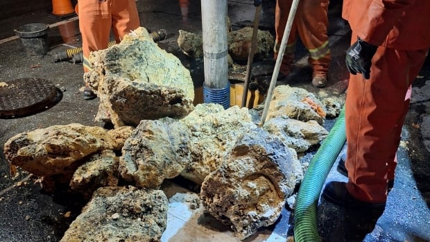 This B.C. city had 50 tonnes of 'fatbergs' removed from its sewers