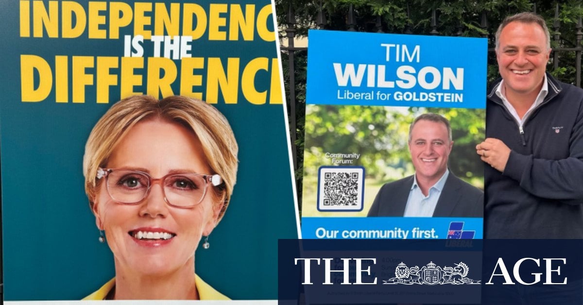 Too soon! Tim Wilson and Zoe Daniel reignite election corflute wars