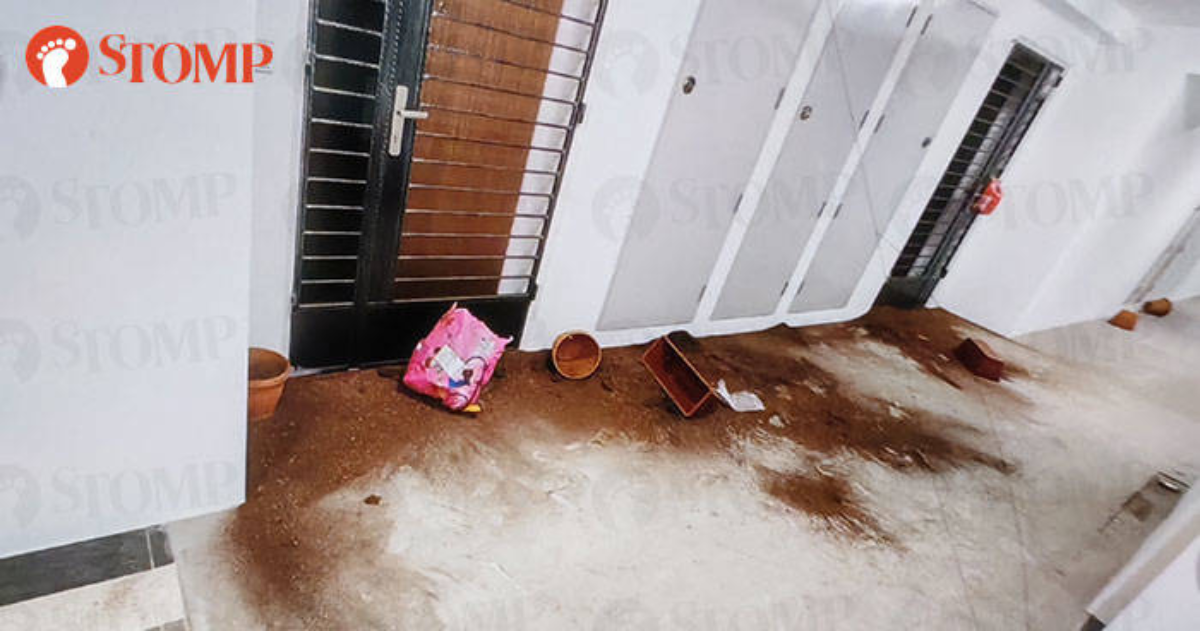 Town council alerts police after Sengkang resident finds soil dumped outside flat