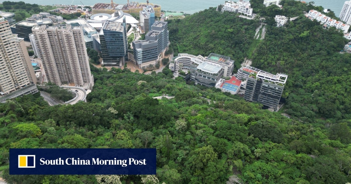 University of Hong Kong to scale back planned IT centre after thousands object locally