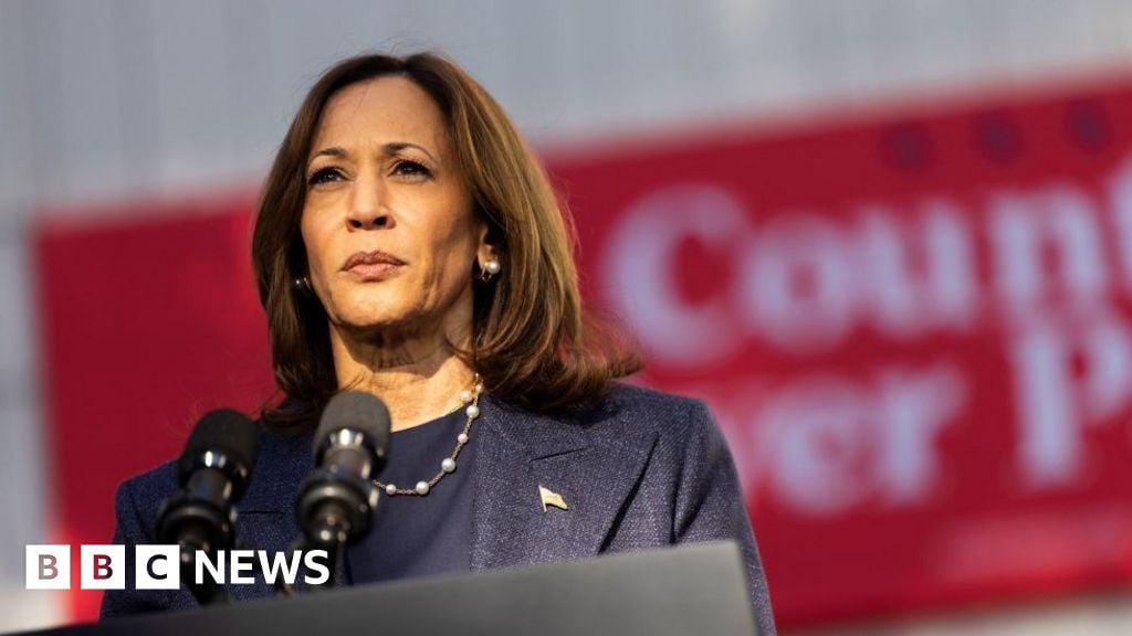 US election 2024: Sparks fly as Kamala Harris does first-ever Fox interview