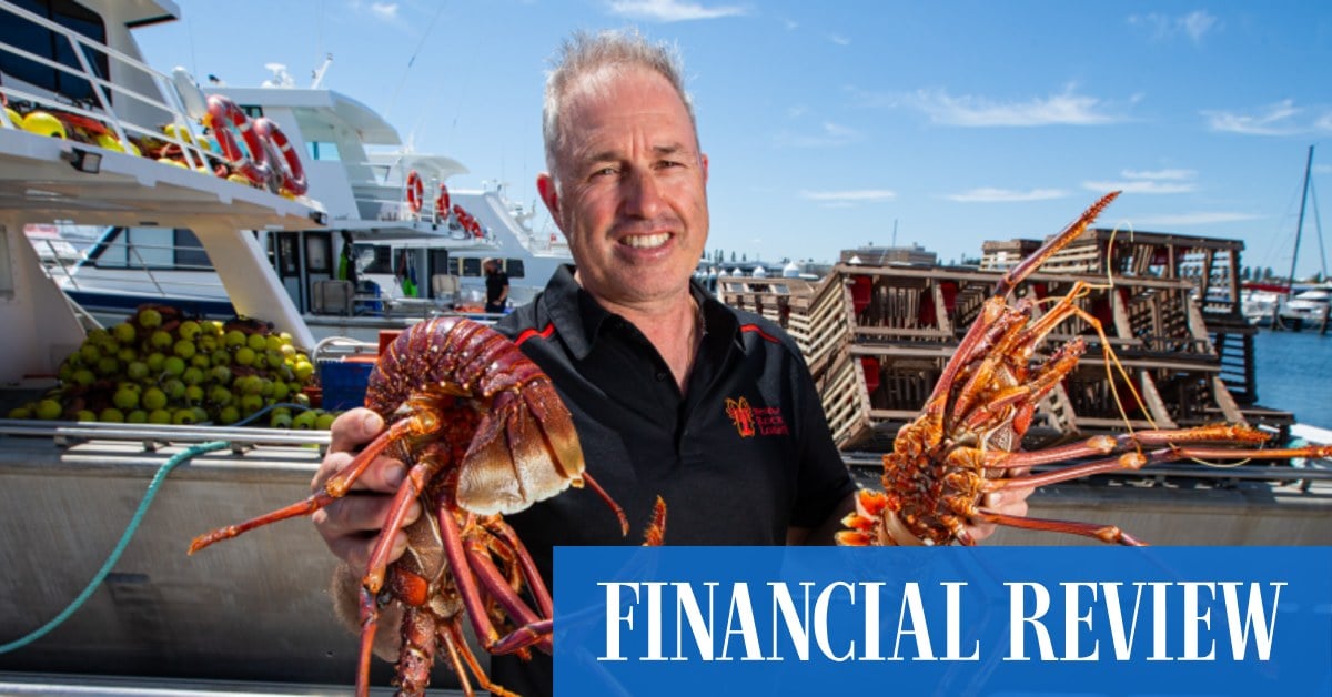 WA fishermen celebrate end of China lobster ban