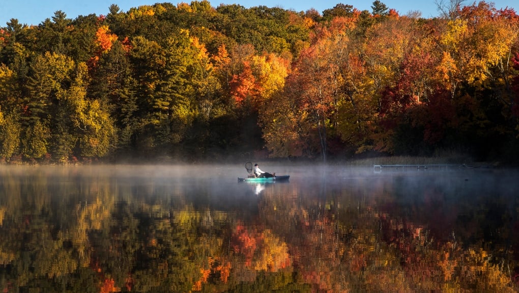 Warmer than normal temperatures lead to duller fall colours in Ontario