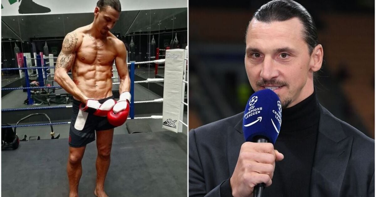 Zlatan Ibrahimovic 'in talks over huge boxing bout' and ex-Man Utd team-mate may join him