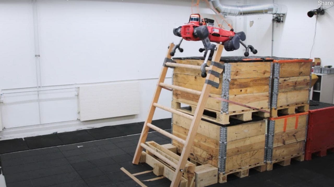 Quadruped robot climbs ladders, creeps us out