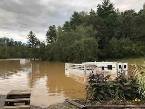 Trapped with 54 horses for 4 days, Biltmore employees fought to find water during Helene