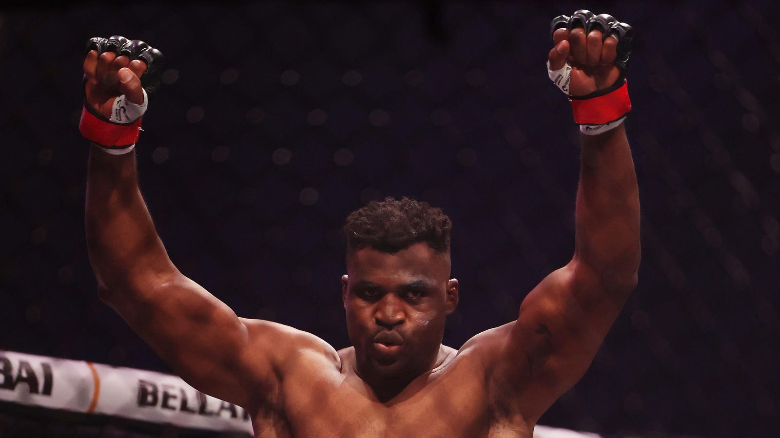 Francis Ngannou vs. Renan Ferreira Results: Highlight And Reactions