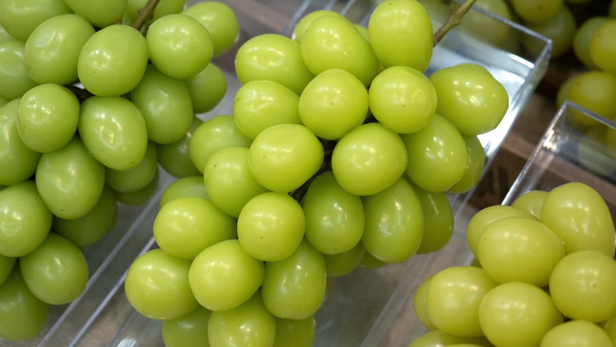 Shine Muscat grapes in Singapore safe to eat, says SFA after Thai contamination concerns