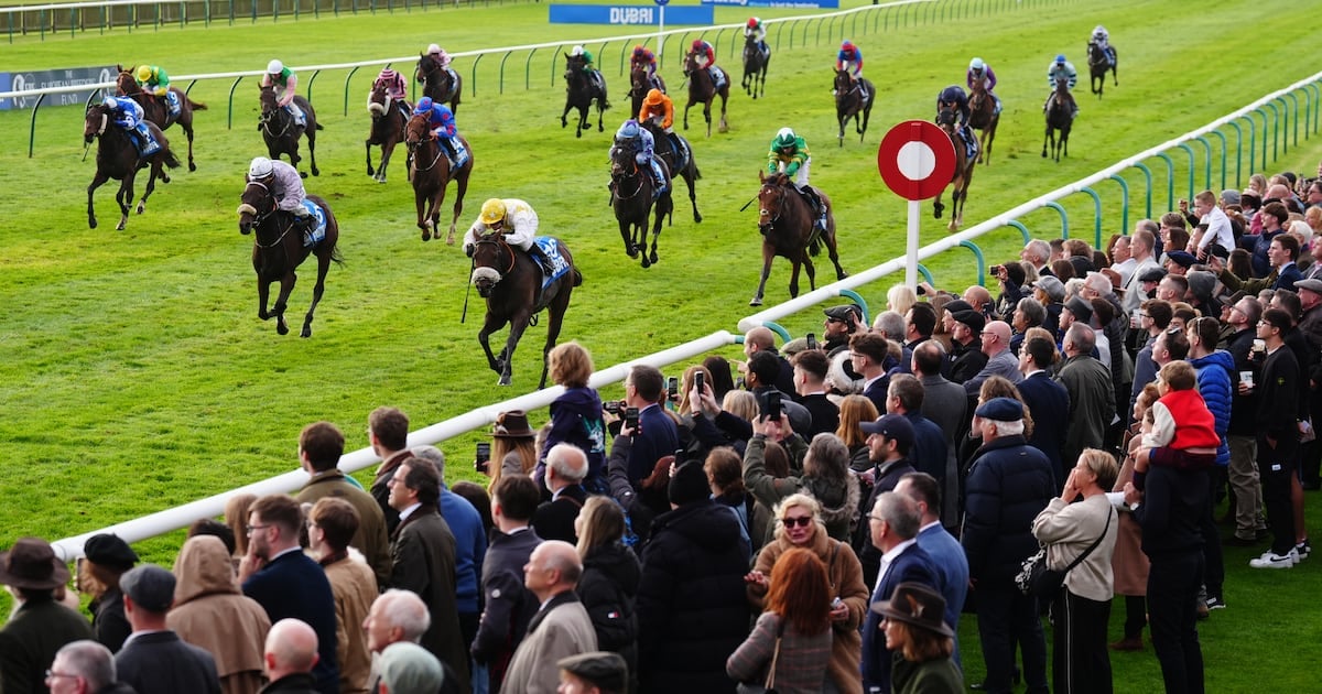 Alphonse Le Grande disqualified from Cesarewitch after jockey judged to have broken whip rules