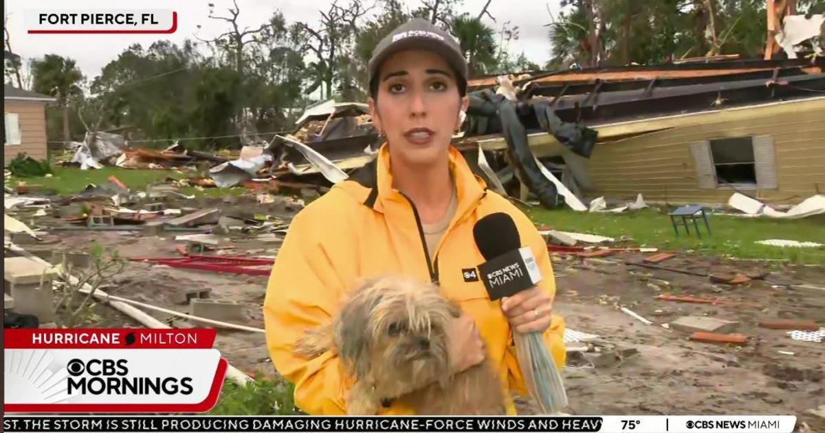 Dog rescued from Hurricane Milton rubble in St. Lucie County community