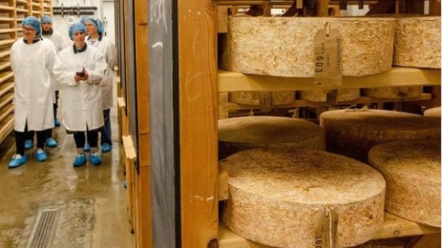 Arrest made in massive U.K. cheese heist, but $540K worth of cheddar still at large