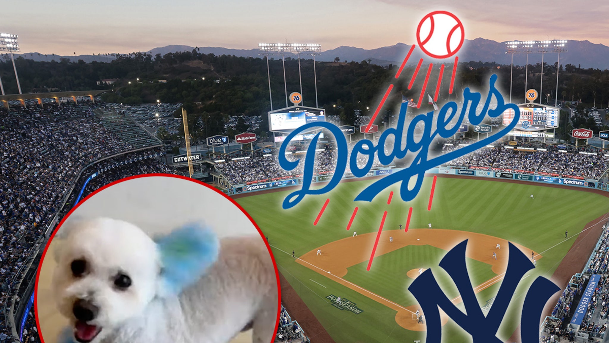 Dodgers Fans Dye Their Dogs Blue In Preparation For World Series