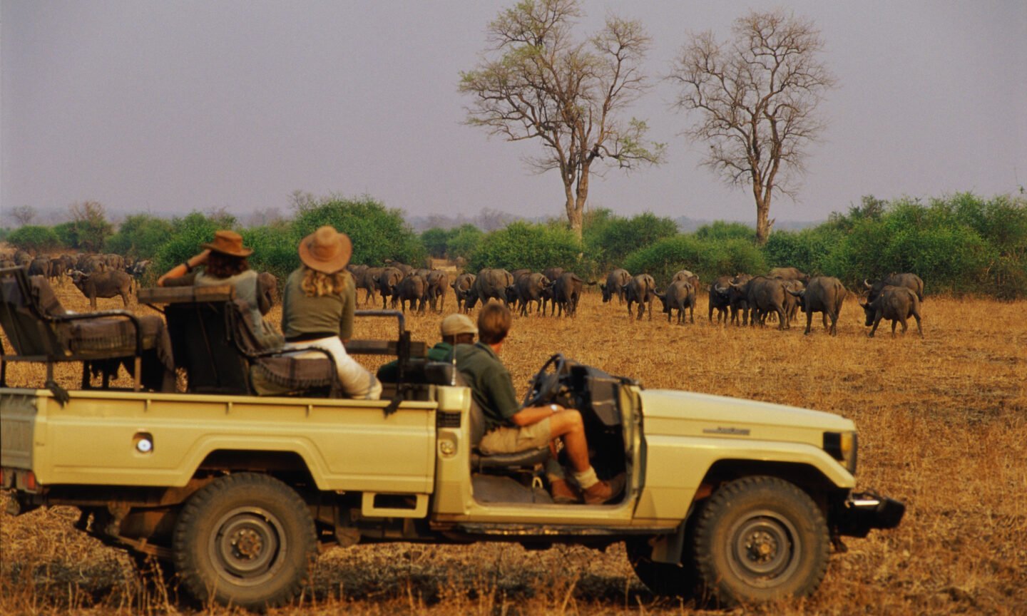 5 Tips for Planning Your First Safari