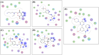 Versatile properties of Opuntia ficus-indica (L.) Mill. flowers: In vitro exploration of antioxidant, antimicrobial, and anticancer activities, network pharmacology analysis, and In-silico molecular docking simulation