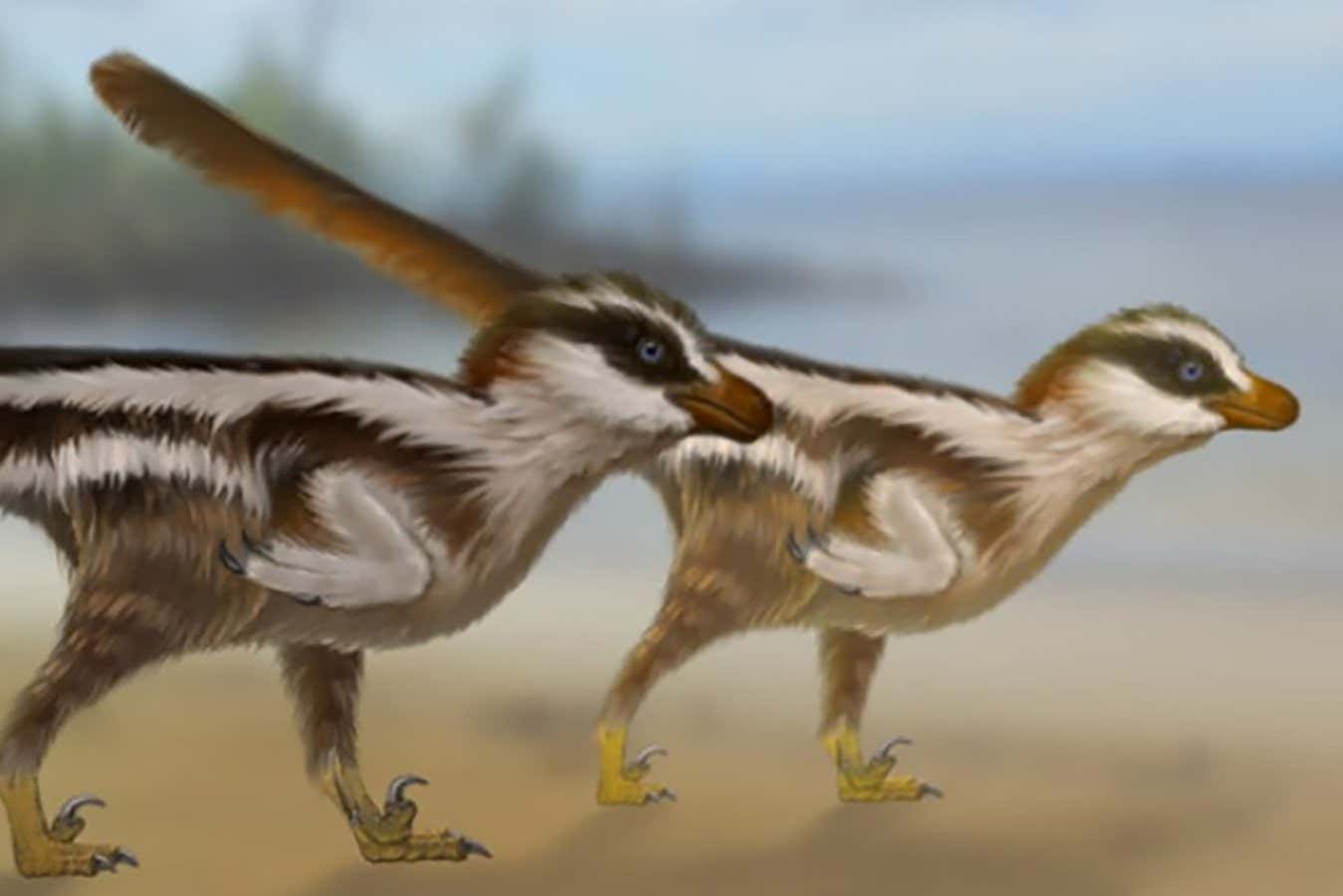 Preserved tracks suggest non-avian dinosaurs used their wings to run