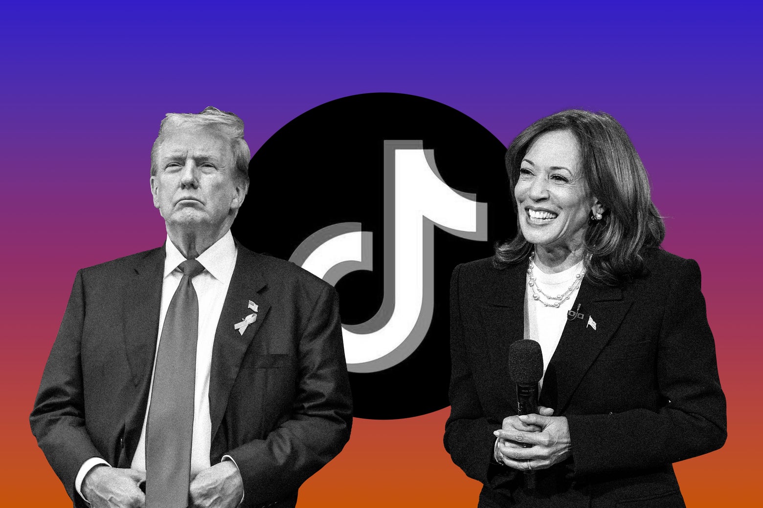 Can TikTok Sway this Election?