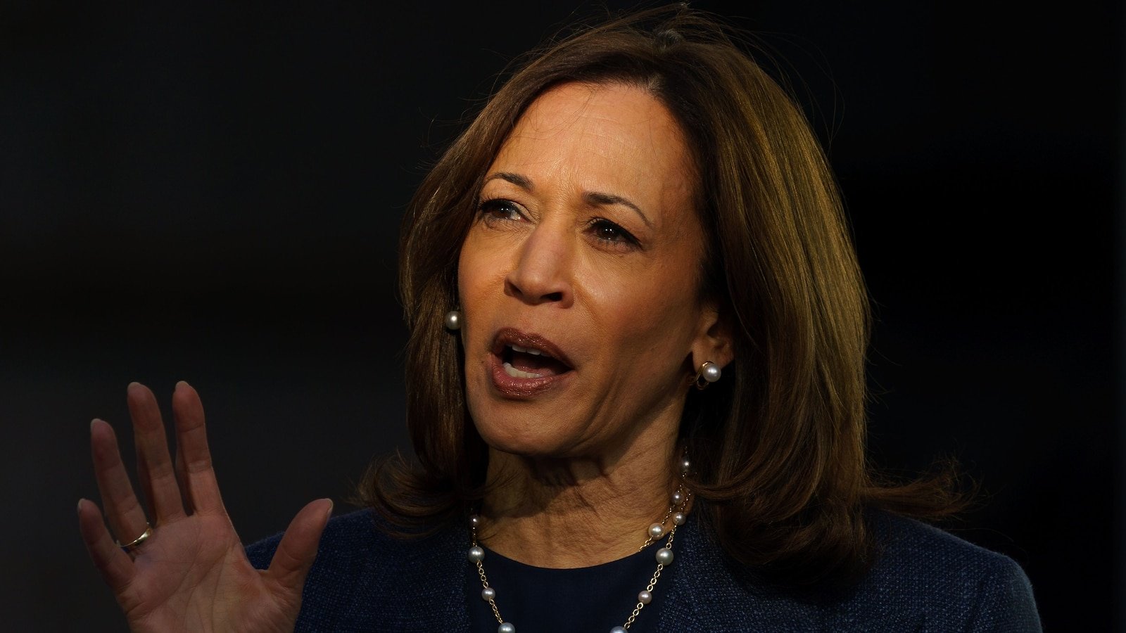 Harris paints Trump as a national threat in testy Fox News interview