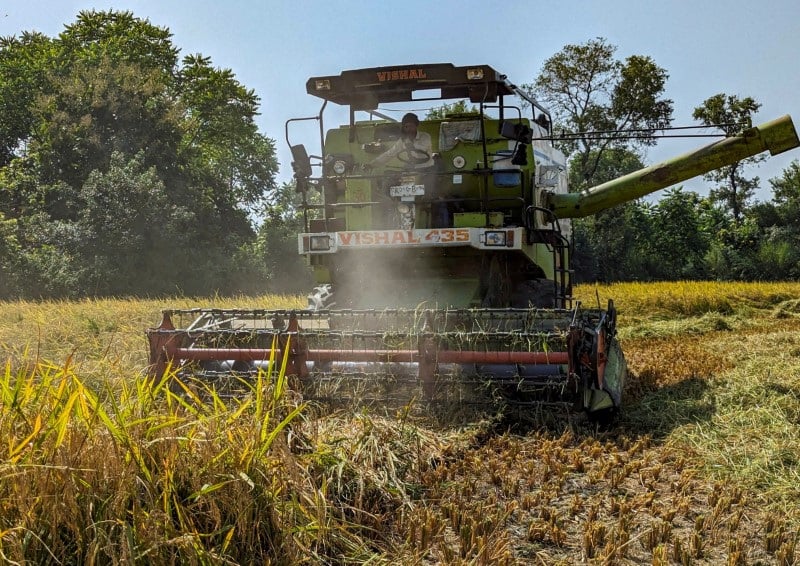 India's rice inventories hit record high, triples govt target