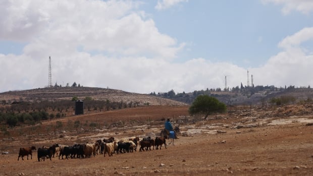 Trump victory a boon to Israeli settlers who hope to annex entire West Bank