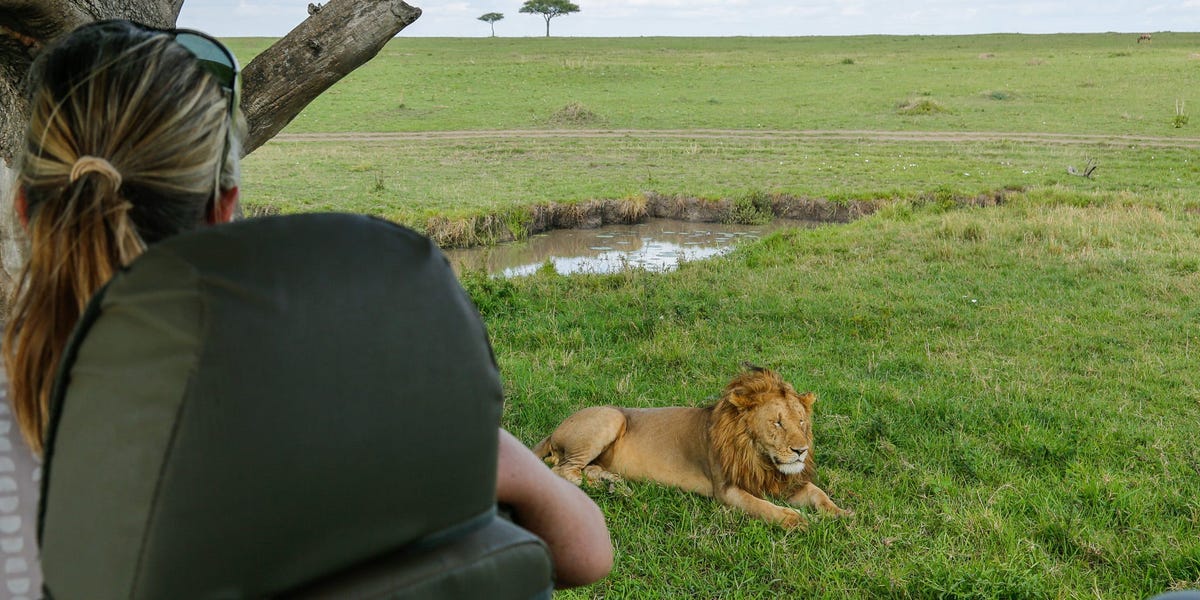 The most common mistakes people make during their first safari vacation