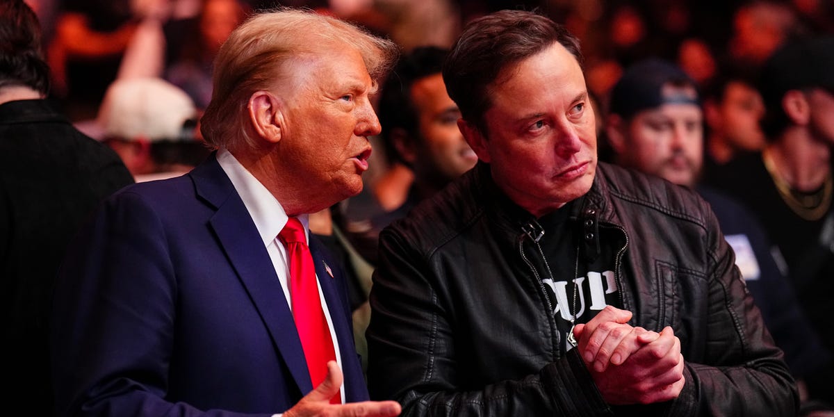 Photos show Donald Trump and Elon Musk's post-election bromance