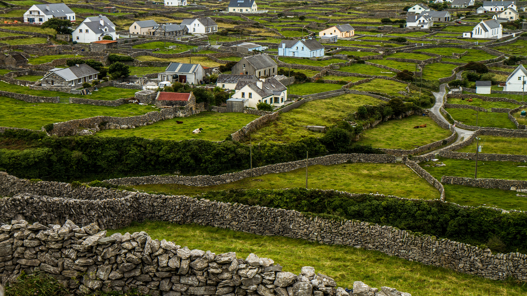 Scottish, Irish, and Northern English better at detecting fake accents