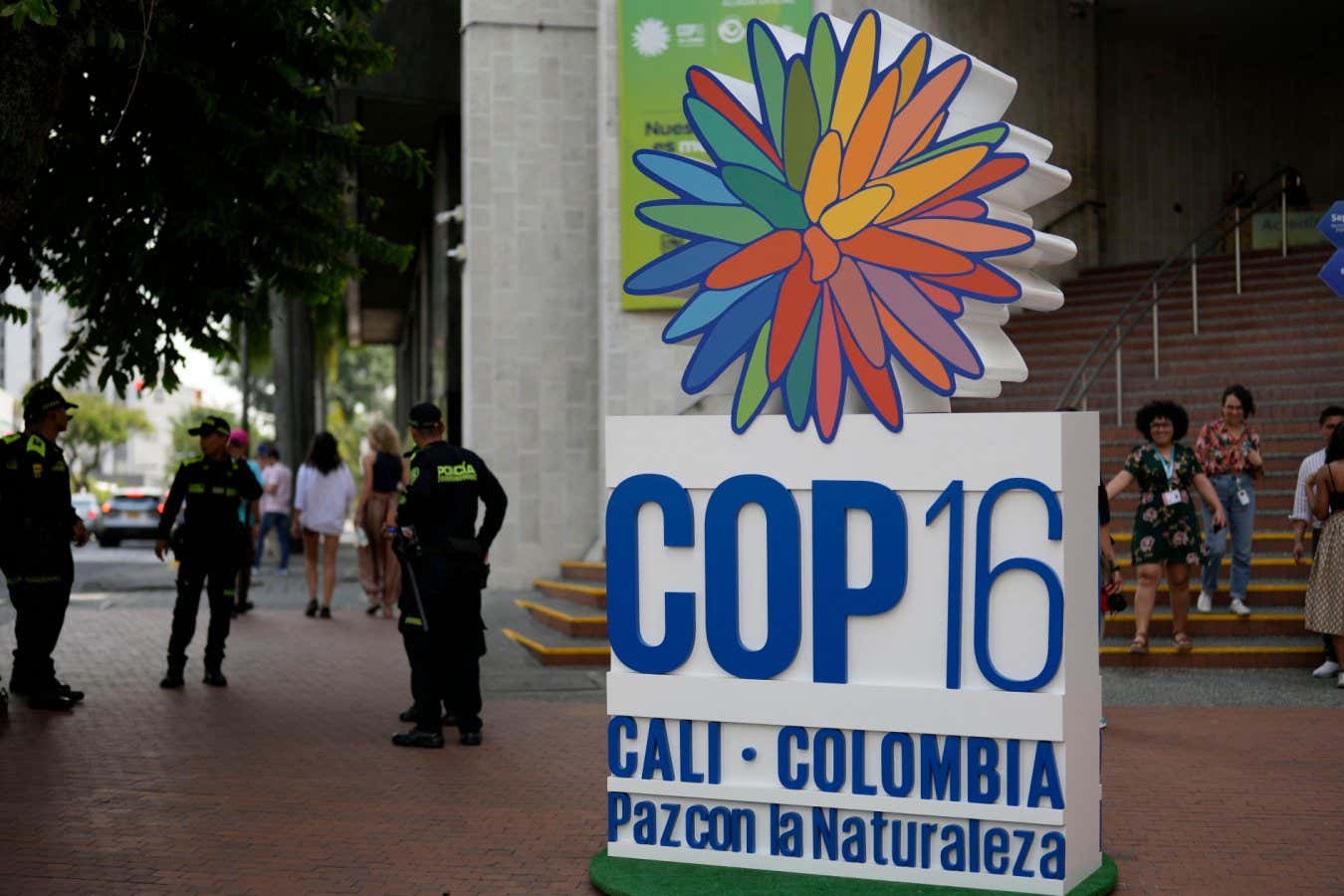 The COP16 biodiversity summit was a big flop for protecting nature