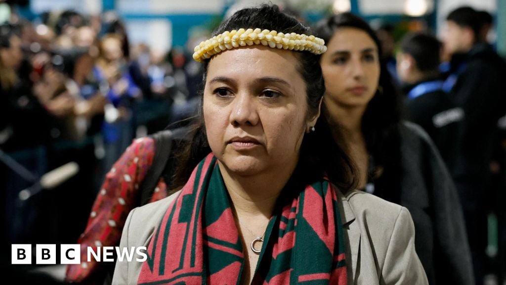 Watch: Dozens of nations walk out of COP29 climate talks