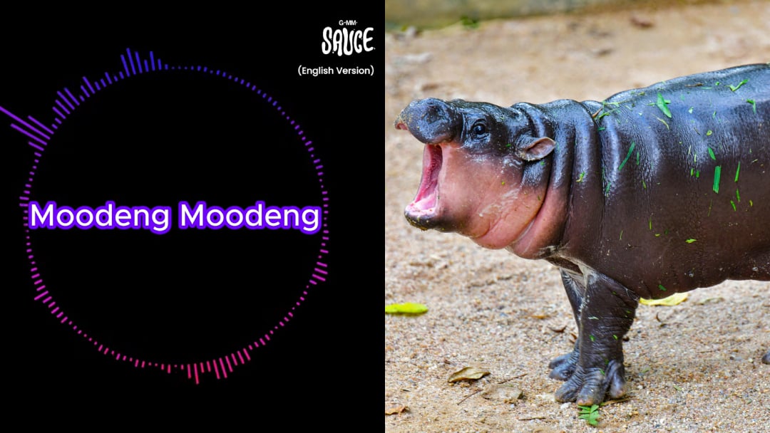 Moo Deng The Viral Hippo Gets Official Theme Song In 4 Languages