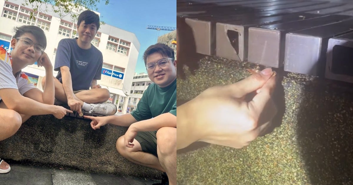 $500,000 richer: Hunt the Mouse gold coin found by 3 men under bench in Bedok