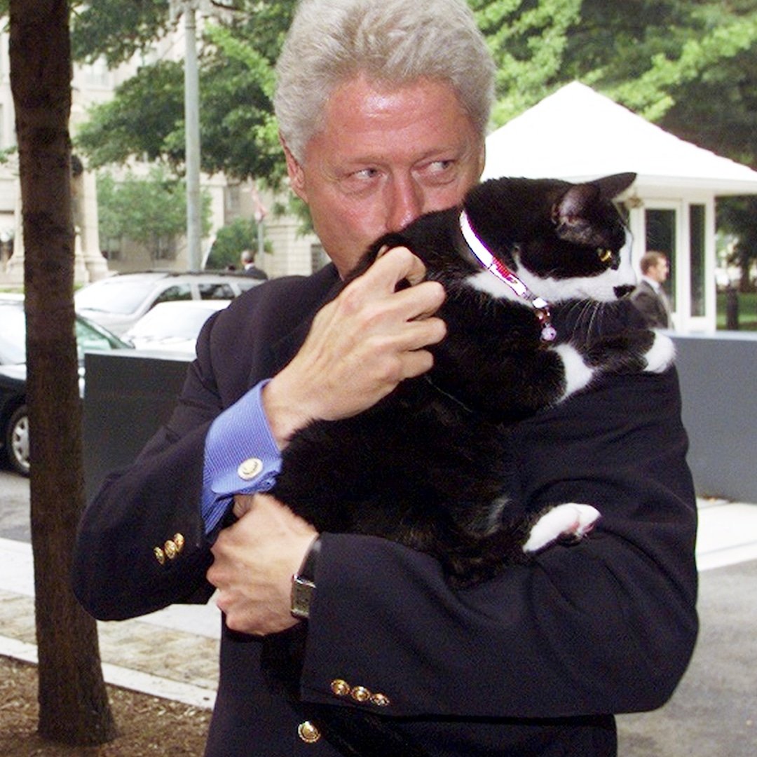  A History of Presidential Pets Who Lived in the White House 