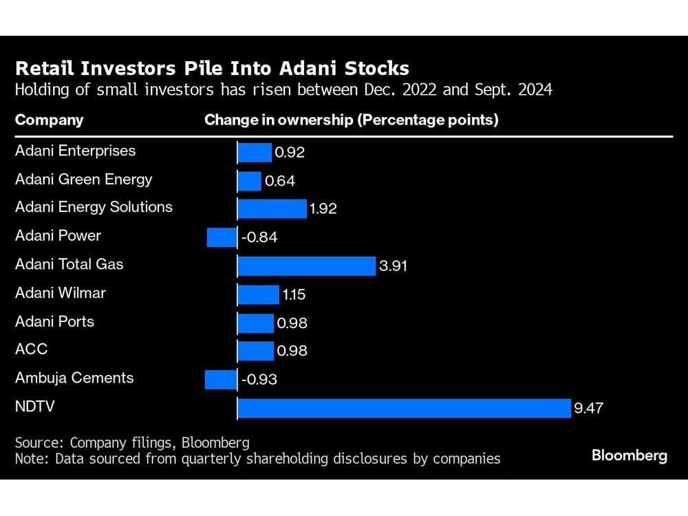 Adani Firms Drew Retail Investors Before US Probe Pullback