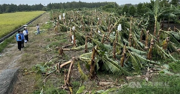 Agricultural losses from Typhoon Kong-rey top NT$1.3 billion