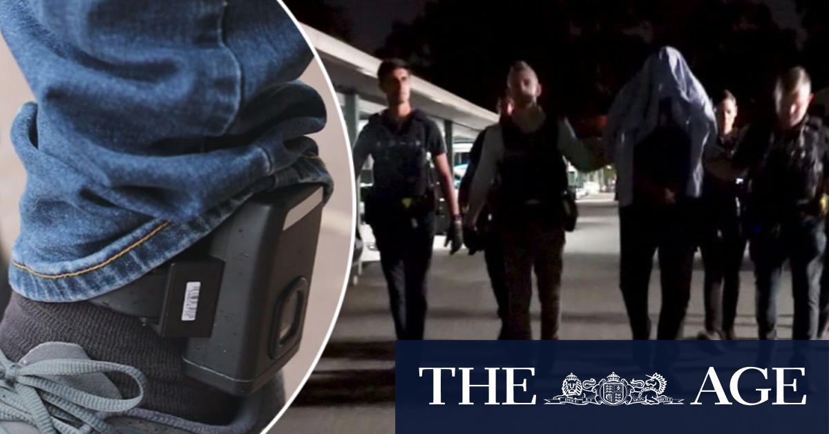 Ankle monitoring and curfews for released immigration detainees illegal, high court rules