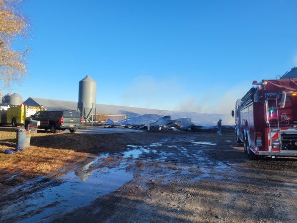 Arson ruled out in Wicomico County chicken farm blaze that killed 20,000 birds