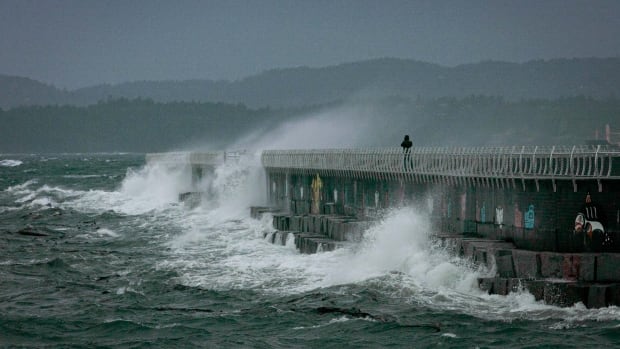 B.C. coast braces for high winds, power outages as 'bomb cyclone' forms in Pacific