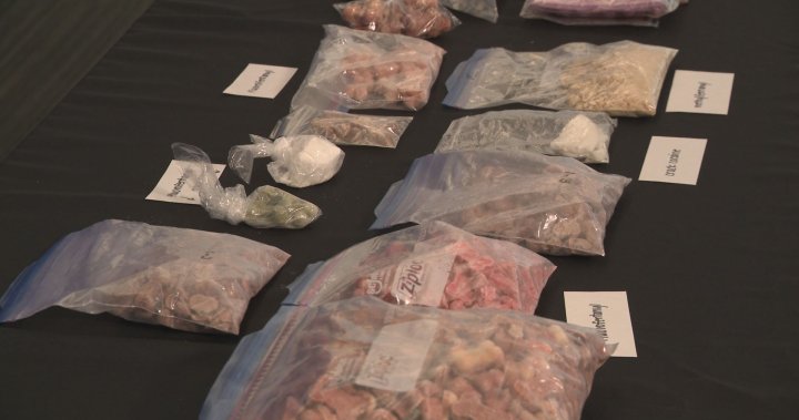 B.C. police seize guns, fentanyl disguised as dog treats